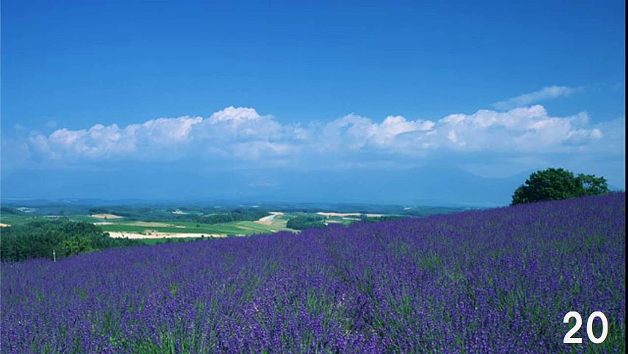 【3H】ディキシーランドジャズ－ピアノ・Dixieland Jazz Piano（長時間作業用BGM)