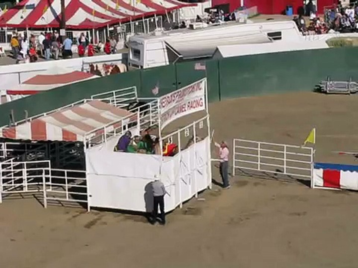 camel race