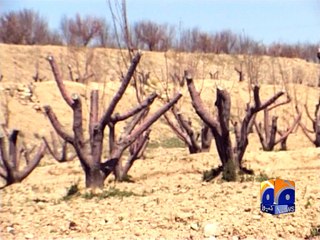 Balochistan farmers to be given solar panels -29 April 2016