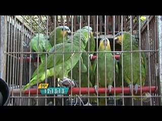 BLOGDOANDERSON | BMD: sexta-feira, 29 de abril de 2016