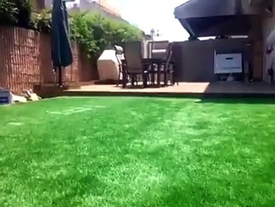 VI PIACEREBBE UN GIARDINO COSÌ-
