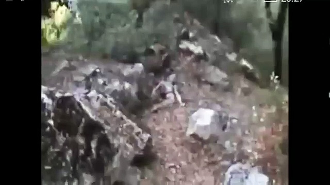 REAL ALIEN Caught in the Woods - Real Grey Footage - UFO ET Reptilian