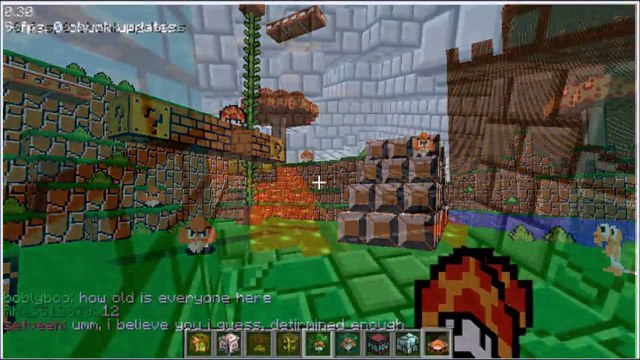 マインクラフトの世界に現れたマリオたち！（検：マイクラ・スーパーマリオメーカー