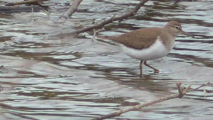 La Ville Gaudu Lamballe Avril 2016