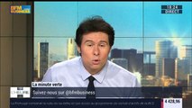 La Minute Verte: Le marché du solaire reprend des couleurs en France - 29/04