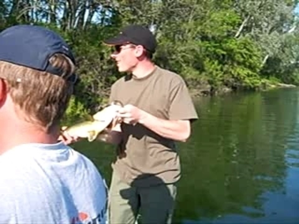 black bass