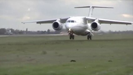 Skillful pilot landed plane on grass