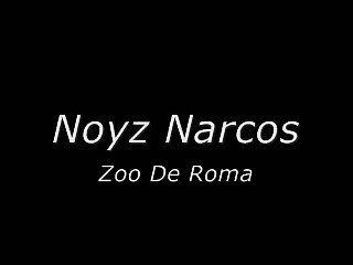 Noyz Narcos - Zoo De Roma lyrics