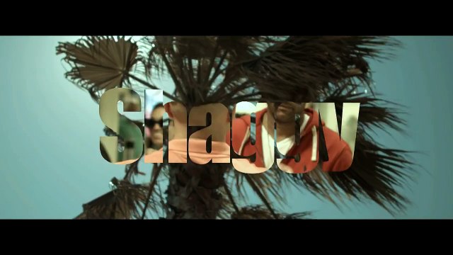 Shaggy Mohombi Faydee Costi - Habibi (I need