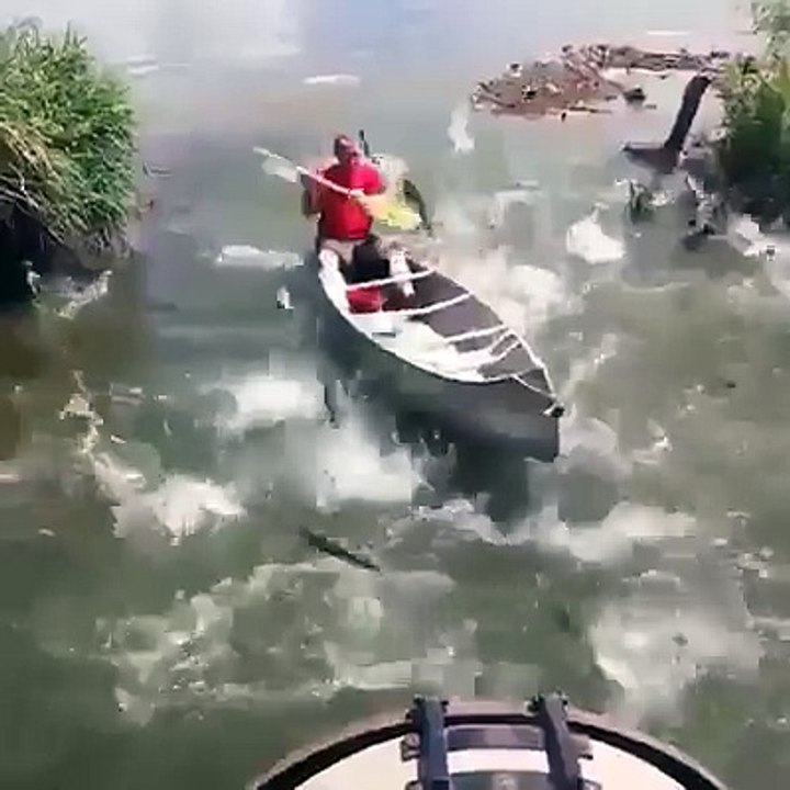Auto Fishing