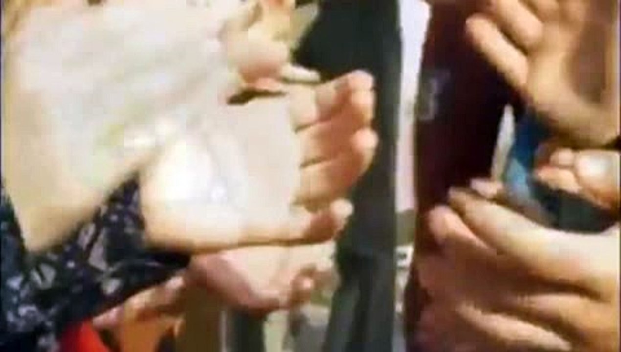 LES POPPYS _  RIEN N'A CHANGÉ VERSÃO NÓVA VIDEO CLIP