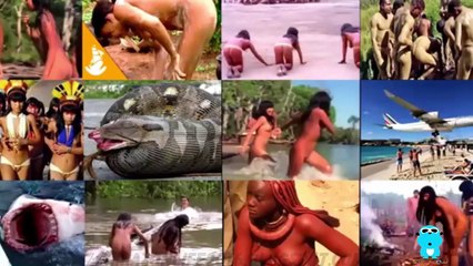 Скачать видео: Uncontacted Amazon Tribes: Isolated Tribes Of The Amazon Rainforest Brazil 2015 (full docu