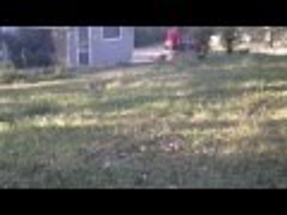 Do you want this guy to cut your yard