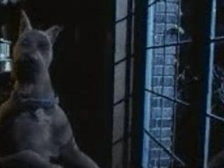 Scooby Doo - Batman Trailer
