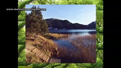 استماع لأجمل أنشودة 'دائم ربي' من عمر الصعيدي 🎶