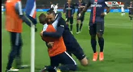 Zlatan Ibrahimovic Amazing Goal HD - PSG 2-0 Rennes - 29-04-2016