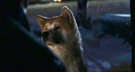 "You don't have to wait anymore" - Hachi: A Dog's Tale