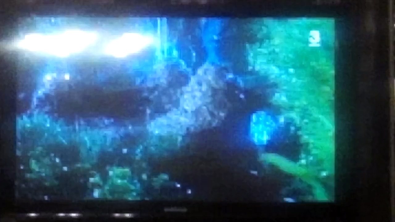 Jurassic park