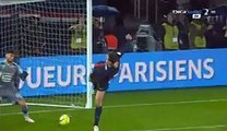 All Goals HD - Paris Saint Germain 4-0 Rennes 29-04-2016