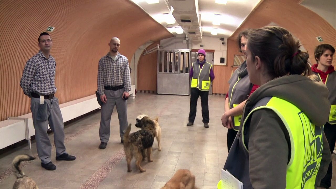 Ungarn: Hunde machen Knackis zahm