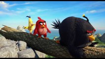 The Angry Birds Movie CLIP - Mighty Eagle Noises (2016) - Jason Sudeikis, Josh Ga Movie HD