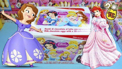 Disney Princess Surprise Box Sofia the First Surprise Toys for Children | Toy Collector