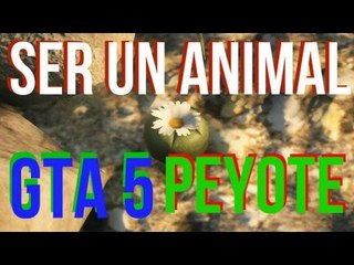 GTA 5 - Trucos: Como ser un Animal comiendo Peyote - Coleccionables (PS4, XB1, PC)