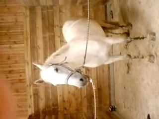 touna dans toute sa splendeur!!