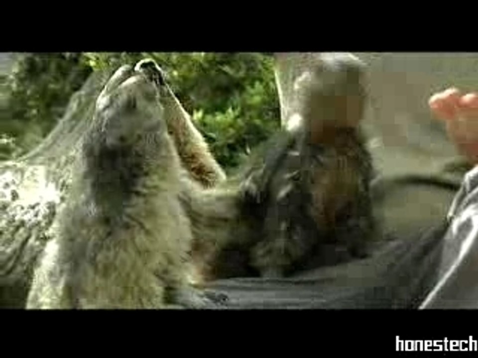 Betisier Marche ou rêve, partie 2