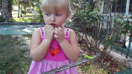 11-Year-Old Girl Allergic to Sunlight | ABC News