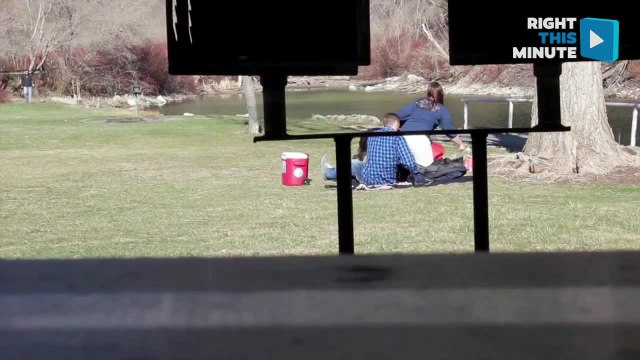 proposal, fail, wedding, marriage, love, dating, funny