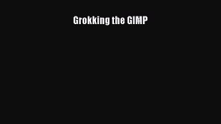 Download Grokking the GIMP PDF Online