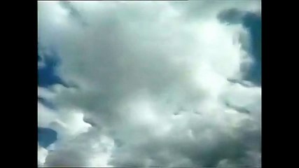 Feather Brained promotional video