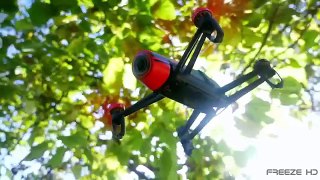 4 ways to take down rogue and illegal drones