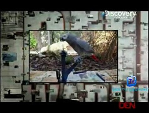 You Have Been Warned 20th August 2014 Viideo Watch Online Pt1