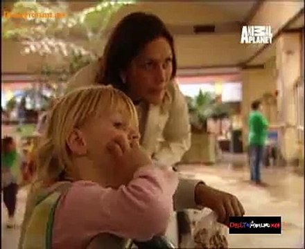 Animal Planet Safari 12th August 2014 Video Watch Online Pt3