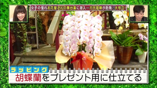 HKT48 no Odekake! ep163 160428