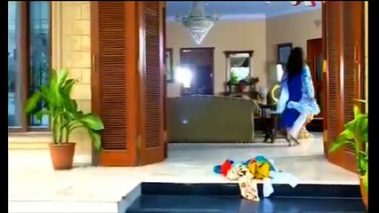 Bheegi Palkein Episode No 25 Full - 29 April 2016 - Downloaded from youpak.com