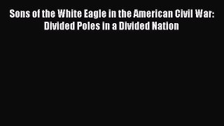 Read Sons of the White Eagle in the American Civil War: Divided Poles in a Divided Nation Ebook