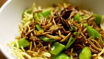 Everything you Need to Know About Eating Insects