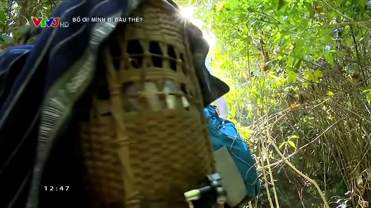 CHÚNG MÌNH CÙNG ĐOÀN KẾT NHÉ | BỐ ƠI MÌNH ĐI ĐÂU THẾ (SEASON 2)