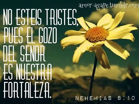 ESTAS AQUI MI CRISTO Y TU ESPIRITU ESTÁ ♥ PS ANDRES ESPEJO MMM