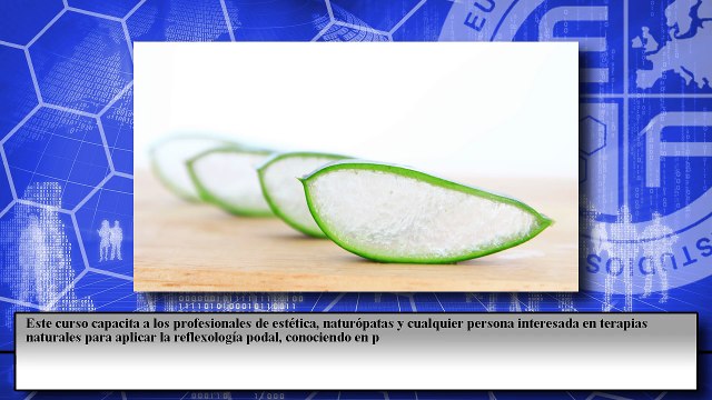 Técnico Profesional en Reflexología Podal (Acreditado)