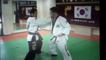 Hapkido Techniques Basic