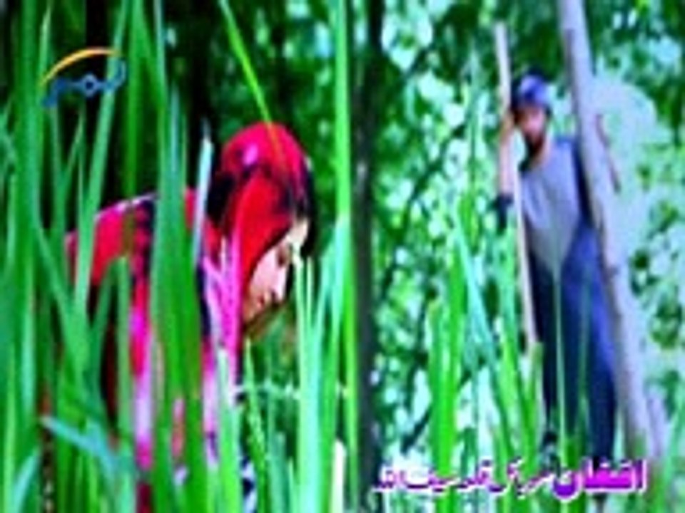 amin shabab new 2015