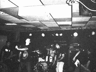 Bad Chickens Chocolate Box teaser