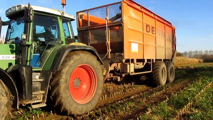 Loonbedrijf Verplancke mais hakselen met claas jaguar 960