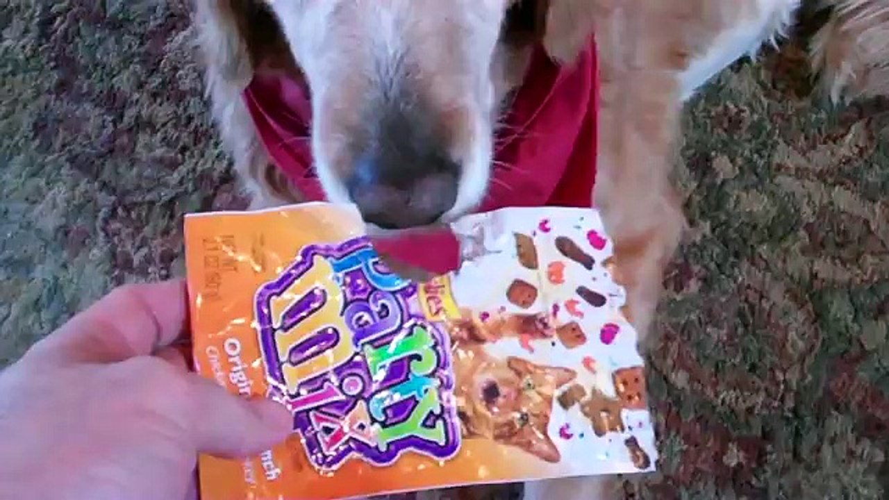 Questo video ha fatto ridere più di 50 milioni di persone, ecco perchè...