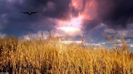 In a field with a horse (В поле с конем)
