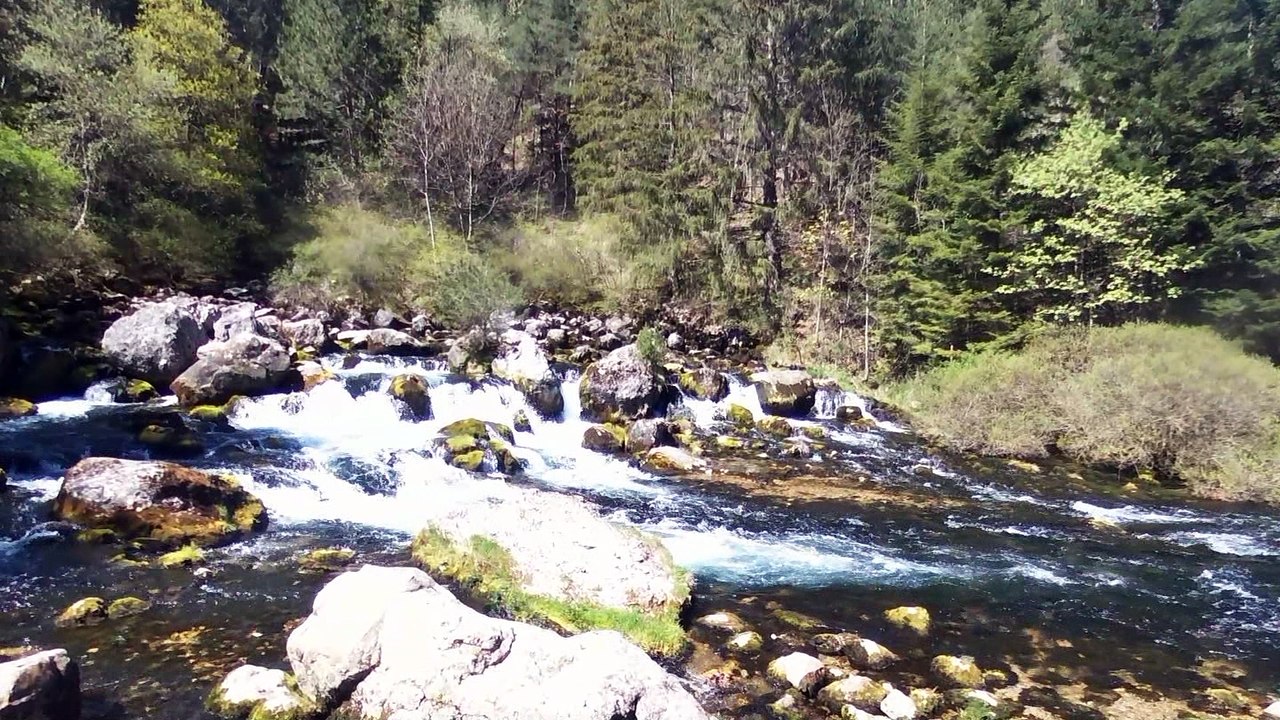 les Gillardes